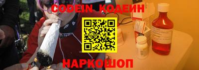 МДПВ Славгород