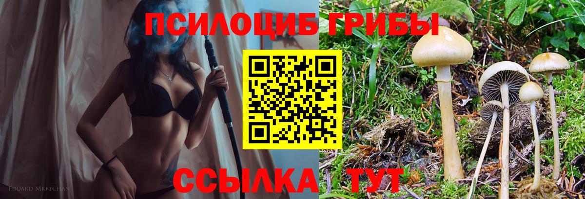 где купить   Галлюциногенные грибы мухоморы  Петрозаводск  Вход с VPN  Галлюциногенные грибы Cubensis 