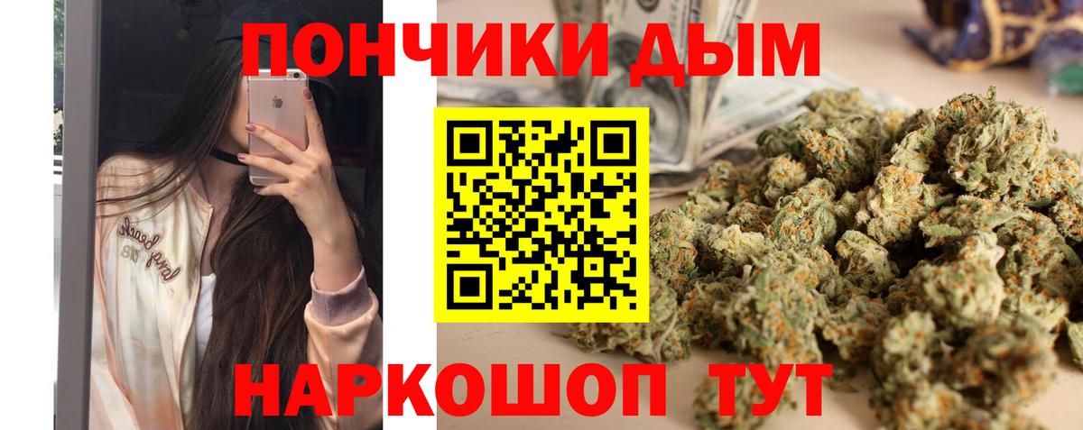 Бошки марихуана конопля Петрозаводск